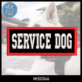 SERVICE DOG