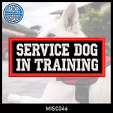 SERVICE DOG