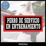 SERVICE DOG